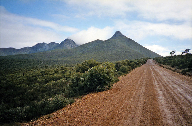 Cámara de película Canon Sure Shot AF35M II de 35 mm con película gratis 1x